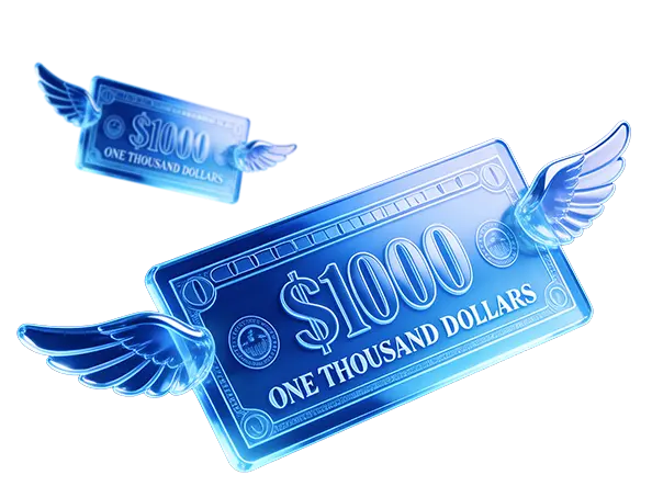 $1000 flying money
